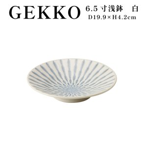 画像1: 【GEKKO -月光-】6.5寸浅鉢　白 【GEKKO -月光-】20cm Shallow Bowl White