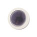画像1: 【メインプレートコレクション】フラットリムプレート（小）　紫</br>【Main Plate Collection】Flat Rim Plate Small Purple (1)