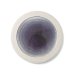 画像1: 【メインプレートコレクション】フラットリムプレート（大）　紫</br>【Main Plate Collection】Flat Rim Plate Large Purple (1)