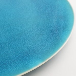 画像5: 【KOHYO -湖氷-】30cmフラットプレート　青 【KOHYO -湖氷-】30cm Flat Plate Blue