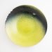 画像4: 【MUSASHI】丸皿（中）　黄緑 【MUSASHI】Round Plate Medium Yellow-green