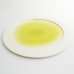 画像3: 【メインプレートコレクション】フラットリムプレート（大）　緑</br>【Main Plate Collection】Flat Rim Plate Large Green (3)