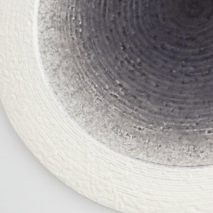 画像4: 【メインプレートコレクション】フラットリムプレート（大）　紫 【Main Plate Collection】Flat Rim Plate Large Purple