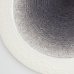 画像4: 【メインプレートコレクション】フラットリムプレート（大）　紫</br>【Main Plate Collection】Flat Rim Plate Large Purple (4)