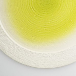 画像4: 【メインプレートコレクション】フラットリムプレート（大）　緑 【Main Plate Collection】Flat Rim Plate Large Green