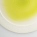 画像4: 【メインプレートコレクション】フラットリムプレート（大）　緑</br>【Main Plate Collection】Flat Rim Plate Large Green (4)