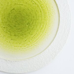 画像4: 【メインプレートコレクション】フラットリムプレート（小）　緑 【Main Plate Collection】Flat Rim Plate Small Green