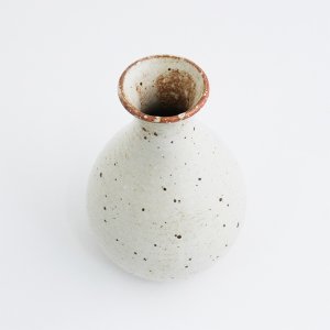 画像3: 2025新作：【酒器コレクション】さび志野徳利(大)