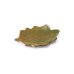 画像1: 【ta・ta・la　このは】柏の葉　織部</br>【ta・ta・la　KONOHA】Kashiwa Leaf Deep Green (1)