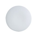 2025新作：【SHI-RA】ガルプレート　ホワイト