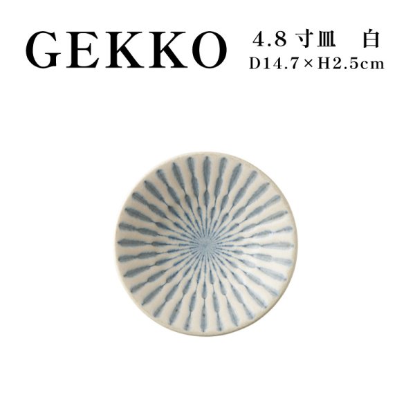 画像1: 【GEKKO -月光-】4.8寸皿　白 【GEKKO -月光-】15cm Plate White (1)