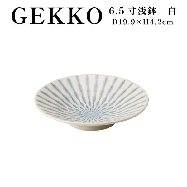 画像1: 【GEKKO -月光-】6.5寸浅鉢　白 【GEKKO -月光-】20cm Shallow Bowl White (1)