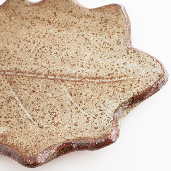 画像5: 【ta・ta・la このは】柏の葉 白唐津 【ta・ta・la KONAHA】Kashiwa Leaf Plate Shirokaratsu (5)