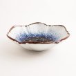 画像3: 【UNI-VA】向付 (3)