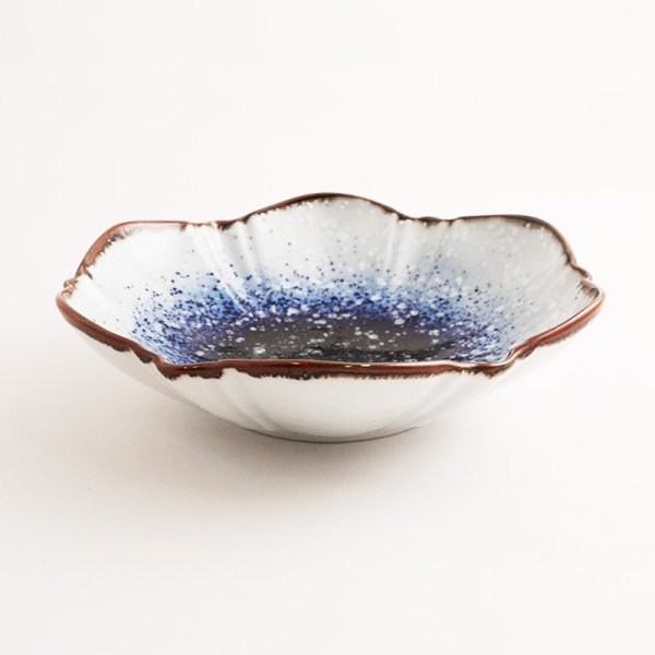 画像3: 【UNI-VA】向付 (3)