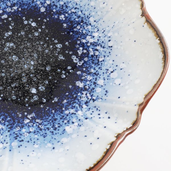 画像6: 【UNI-VA】向付 (6)