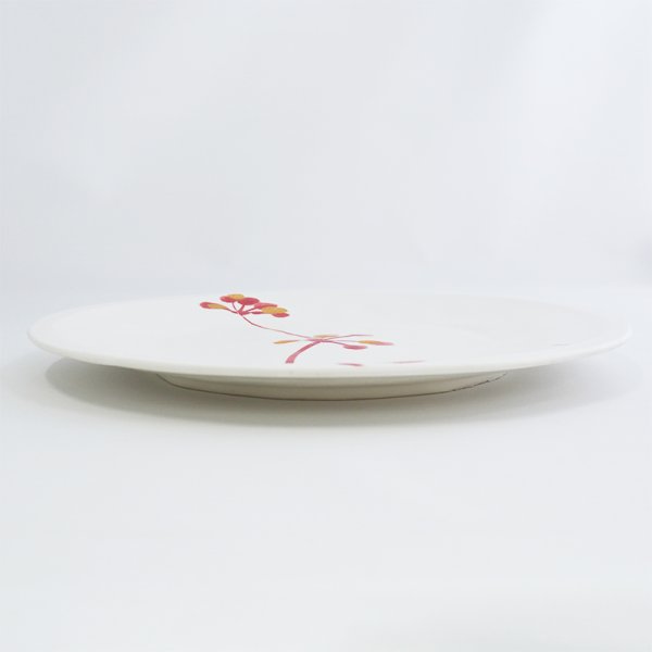 画像2: 【MINORI】丸皿 大 赤 (2)