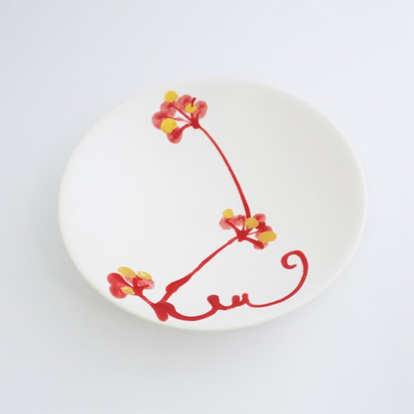 画像4: 【MINORI】平鉢 赤 (4)