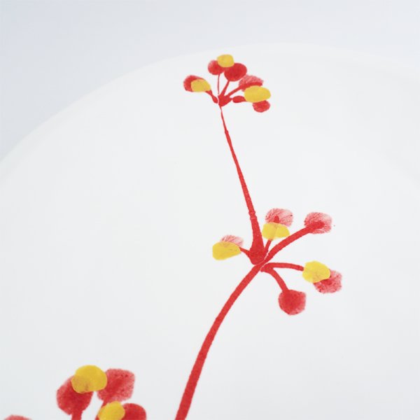 画像6: 【MINORI】丸皿 大 赤 (6)