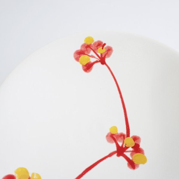 画像7: 【MINORI】平鉢 赤 (7)