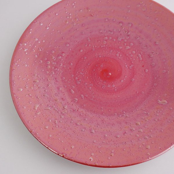 画像4: 【SHIBUKI】16cmプレート 赤 (4)