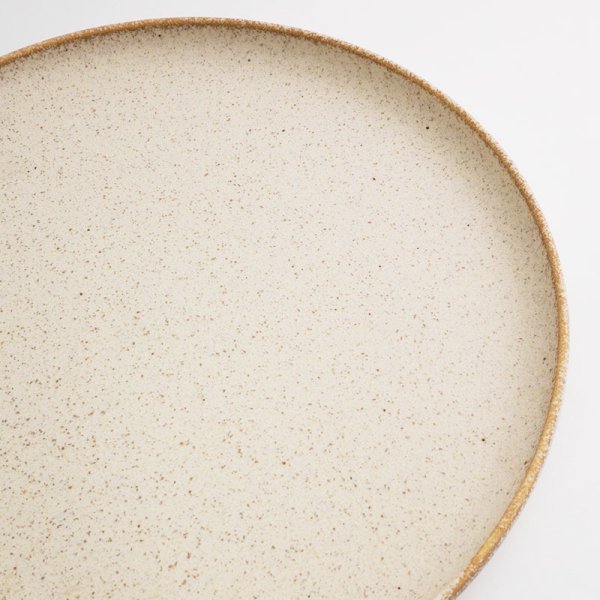 画像5: 【EARTH】27cm切立フラットプレート　白 (5)