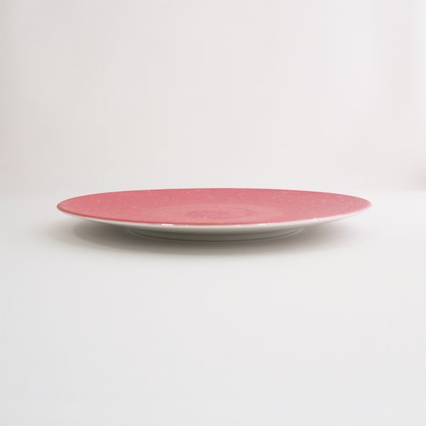 画像2: 【SHIBUKI】22cmプレート 赤 【SHIBUKI】22cm Plate Red (2)