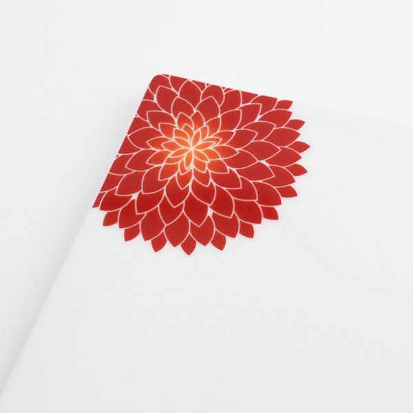 画像5: 【MUM -マム-】18cm長角皿 赤 (5)