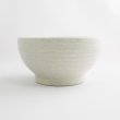 画像2: 【市蔵】白釜揚げ丼 【市蔵】White Rice Bowl (2)