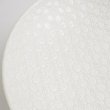画像5: 【市蔵】白メタ9.5寸鉢 【市蔵】White Meta 28cm Bowl (5)