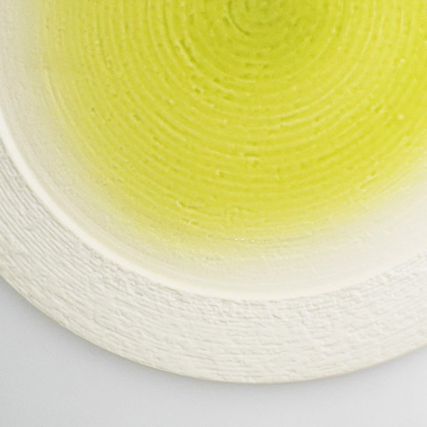 画像4: 【メインプレートコレクション】フラットリムプレート(大) 緑 【Main Plate Collection】Flat Rim Plate Large Green (4)