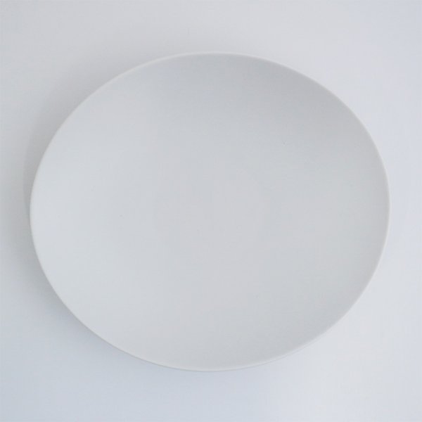 画像3: 2025新作:【SHI-RA】ガルプレート ホワイト (3)