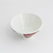 画像3: 2025新作：【円】赤絵乱とくさ丼14cm (3)