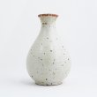 画像2: 2025新作：【酒器コレクション】さび志野徳利(大) (2)