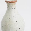 画像5: 2025新作：【酒器コレクション】さび志野徳利(大) (5)