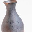 画像5: 2025新作：【酒器コレクション】黒信楽徳利(小) (5)