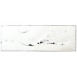 画像1: 【CHITOSE -千歳-】長皿　白 【CHITOSE -千歳-】Long Plate White (1)