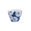 画像1: 2025新作：【SARYO】カップ 菊 (1)